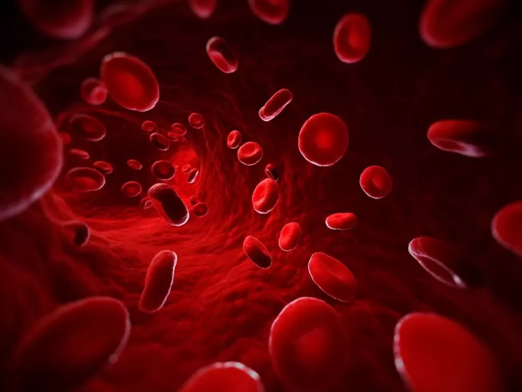 Ilustrasi darah (Sciepro/Science Photo Library/Corbis)