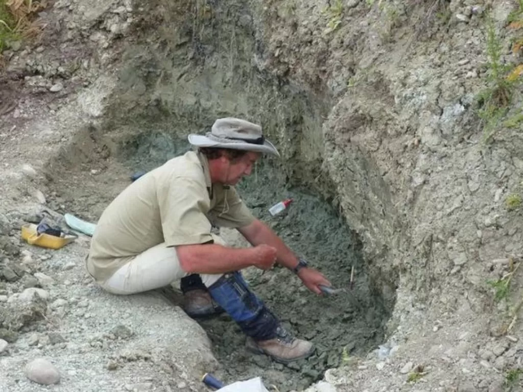Penemuan fosil bebek yang bisa menyelam. (nationalgeographic)