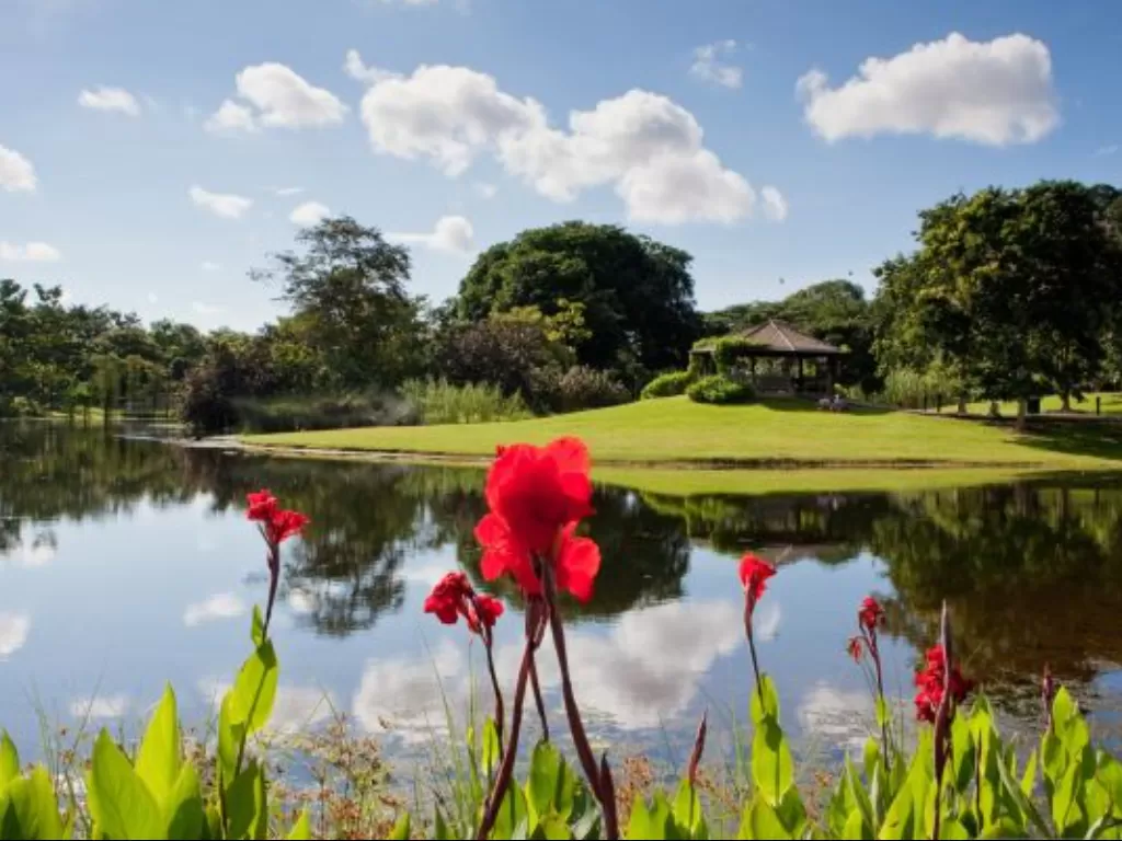 Singapore Botanic Gardens. (ANTARA/Singapore Tourism Board)