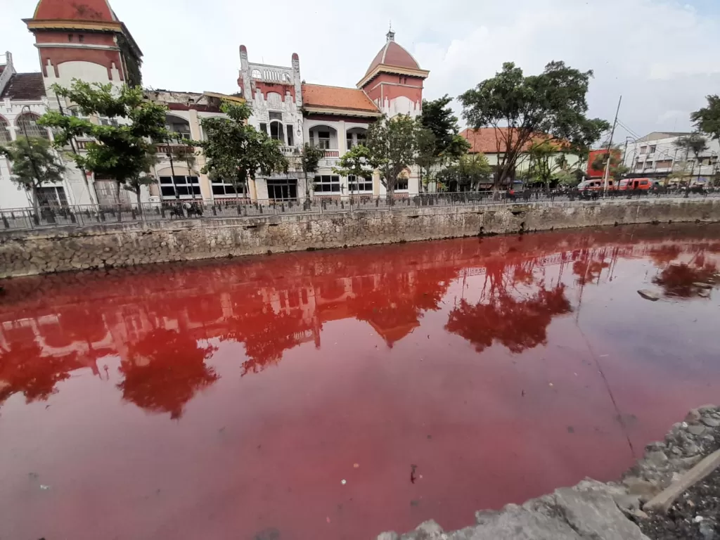 Warna air Kali Semarang mendadak berwarna merah. (Gholib/IDZ Creators)