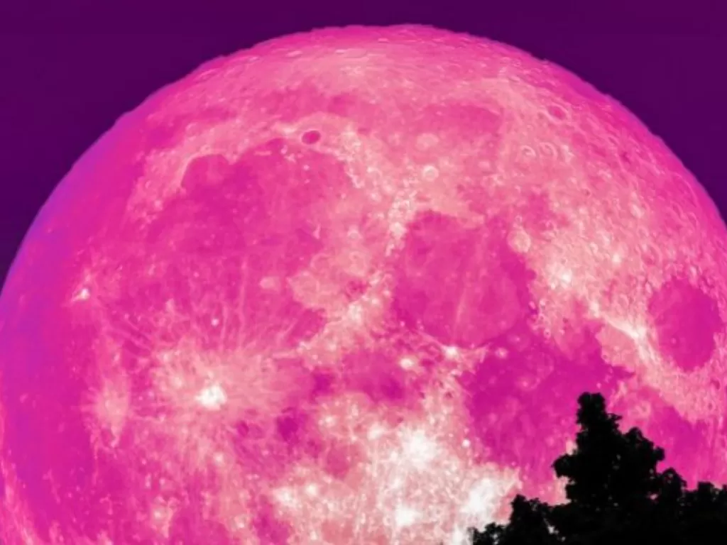 Ilustrasi bulan purnama pink (thenewsrecorder)