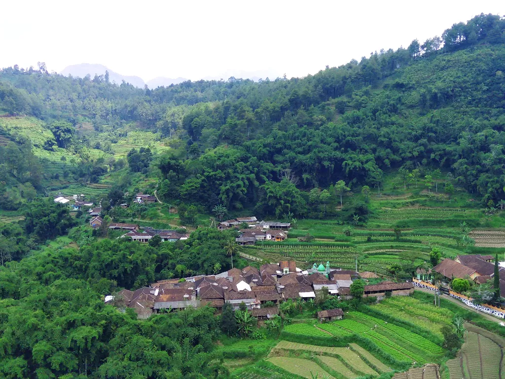 Dusun Brau, jumlah sapinya lebih banyak ketimbang jumlah penduduk. (Hasan Syamsuri/IDZ Creators)