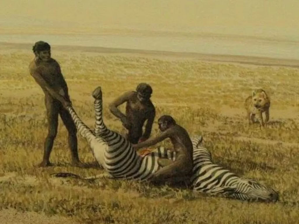 Ilustrasi manusia purba memulung hewan. (History)