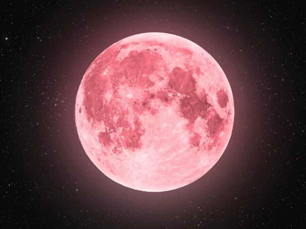 Ilustrasi pink moon. (bustle.com)