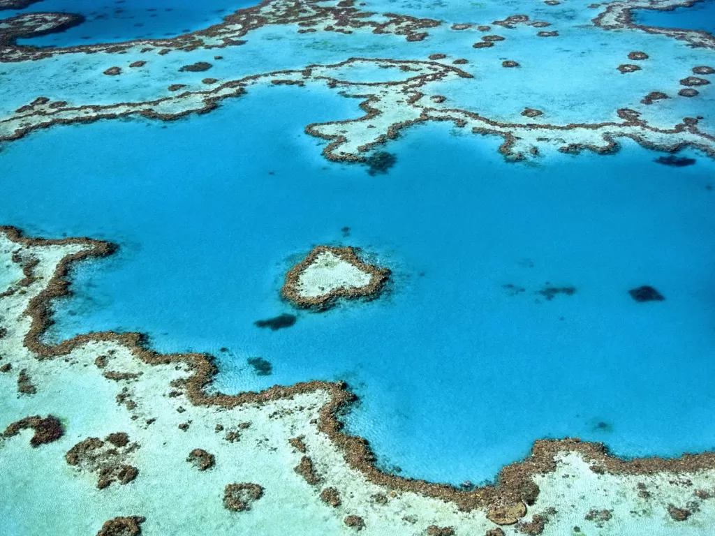 Great Barrier Reef. (Photo/Unsplash)