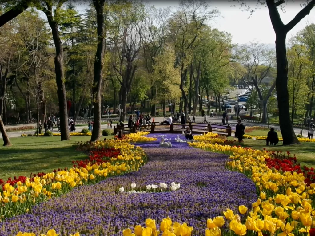 Festival tulip setiap musim semi (Elisa Oktaviana/IDZ Creators)