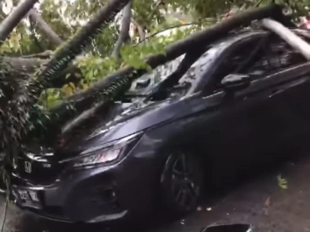 Sebuah mobil tertimpa pohon akibat hujan angin yang terjadi di DKI Jakarta. (Istimewa)