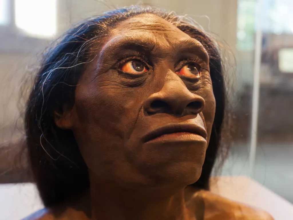 Patung wajah Homo floresiensis (Hobbit), kerabat manusia yang fosilnya ditemukan di Flores, Indonesia. (B CHRISTOPHER, ALAMY/National Geographic)
