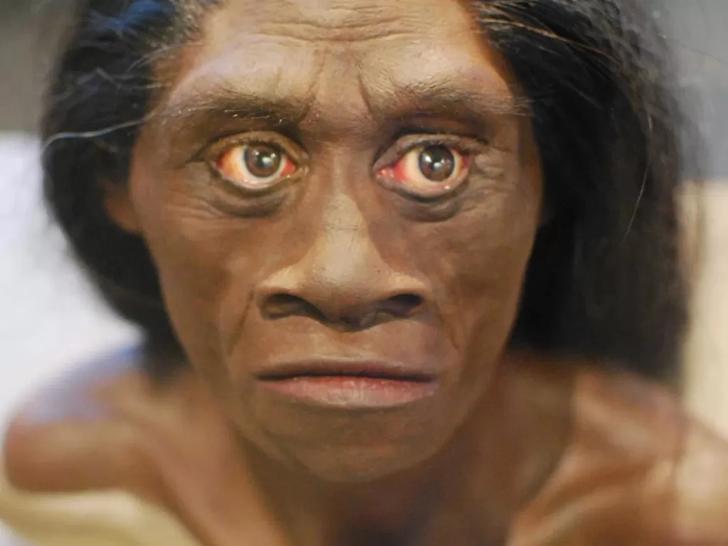 Homo floresiensis (Flickr/Karen Neoh)