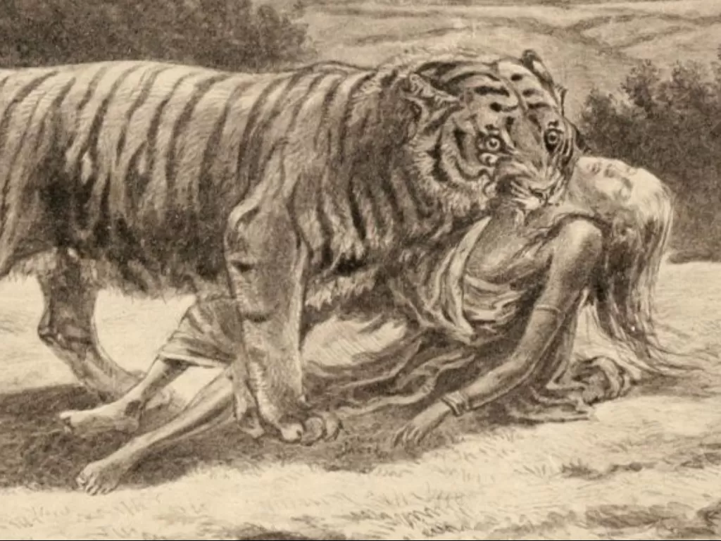 Champawat Tigress. (Photo/Britannica)