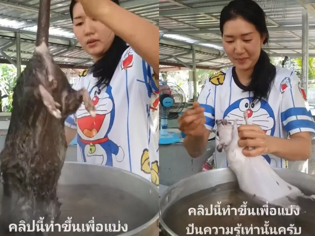 Video cewek Thailad masak tikus (TikTok/@chaiwitaof)