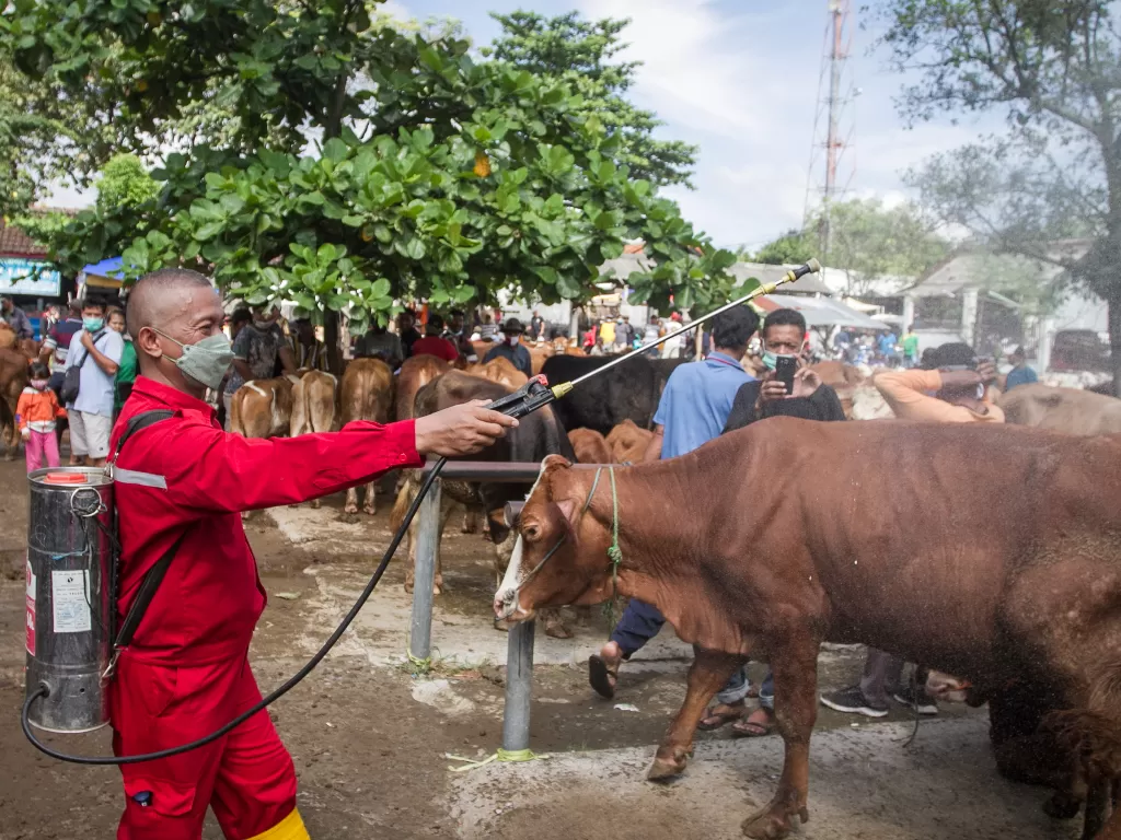 Penyemprotan dan pemeriksaan di pasar hewan tersebut untuk mencegah penyebaran virus penyakit kuku dan mulut (PMK) hewan ternak sapi. (ANTARA FOTO/Mohammad Ayudha/rwa)
