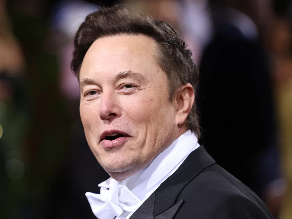 CEO Tesla, Elon Musk. (REUTERS/Andrew Kelly)
