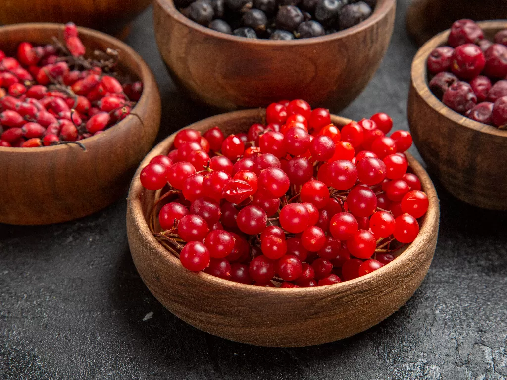 Ilustrasi buah cranberry. (Freepik)
