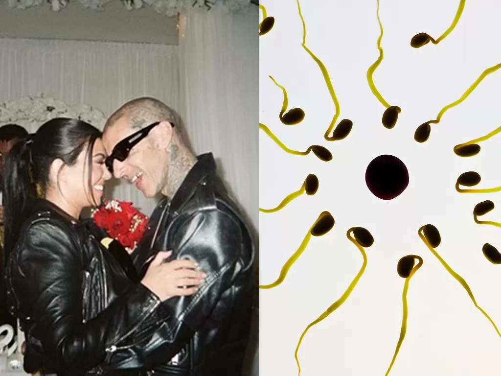 Kiri: Kourtney Kardashian dan suami, kanan: ilustrasi sperma. (Instagram/@kourtneykardash/Pixabay/TBIT)