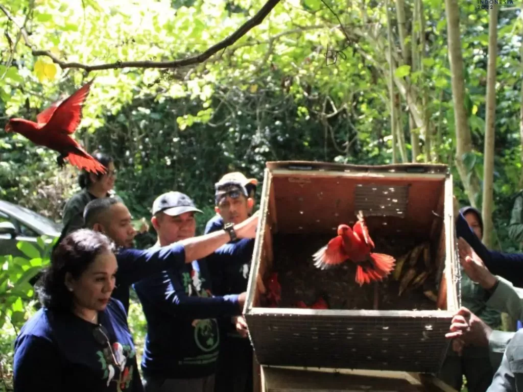 BKSDA Maluku lepas liarkan 68 satwa ke habitatnya di Seram Bagian Timur. (Foto/BKSDA Maluku)