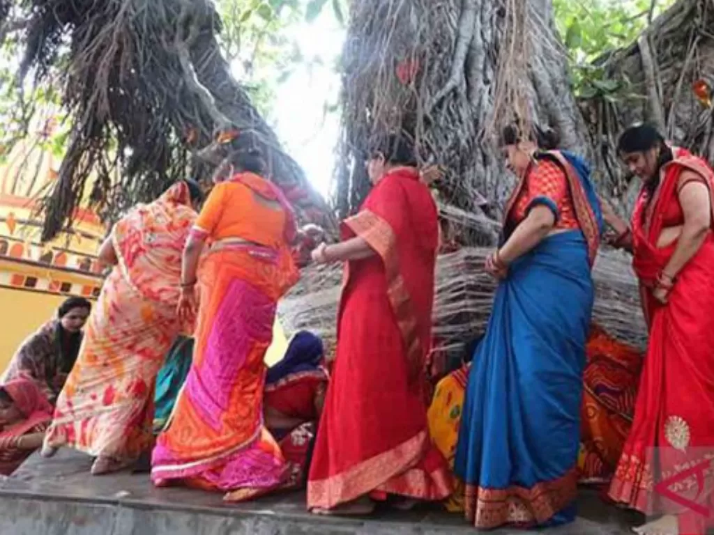Sejumlah wanita melakukan ritual pemujaan pohon beringin saat festival Vat Savitri Puja di Bhopal, ibu kota Negara Bagian Madhya Pradesh, India, Senin (30/5/2022). (ANTARA FOTO/Xinhua)