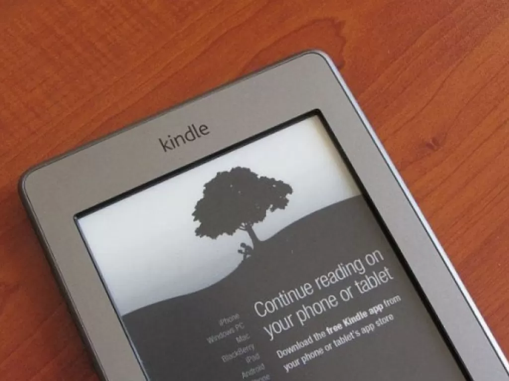 Kindle (Flickr)