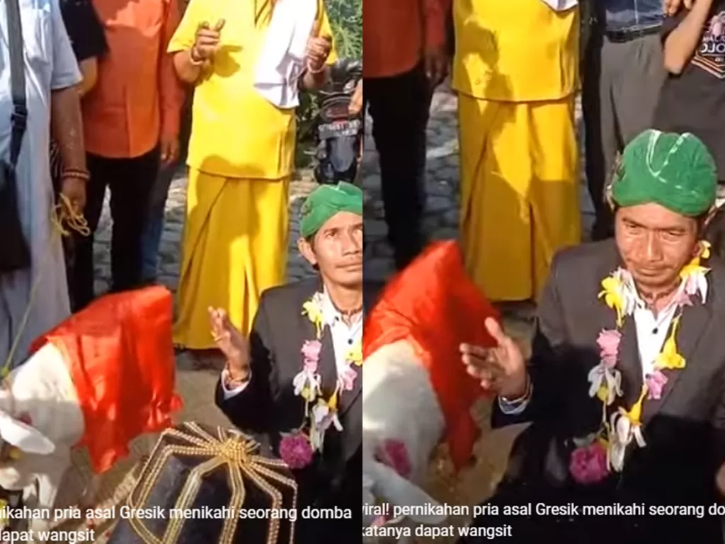 Pria Menikah dengan Domba di Gersik (YouTube/rey toet tv0