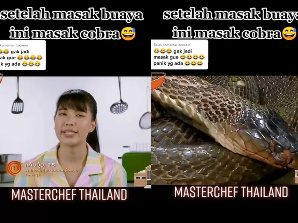 Tantangan MasterChef Thailand memasak ular kobra (TikTok/@babank.nawanreall1)