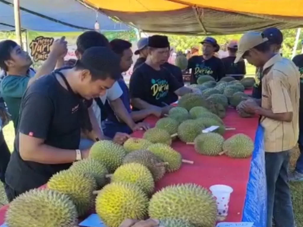 Warga berburu durian (Asri Mursyid/IDZ Creators)