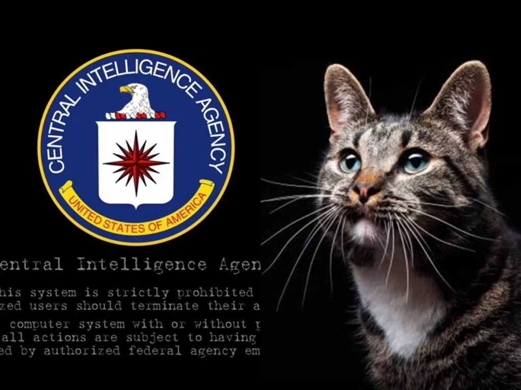 Kiri: Lambang CIA. (Reuters) Kanan: Ilustrasi kucing. (freepik)