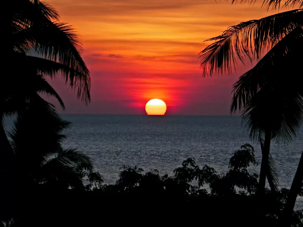 Melihat matahari terbenam di Pulai Tomia, yang masuk dalam gugusan pulau di Wakatobi. (Foto/Unsplash/Niels van Altena) 