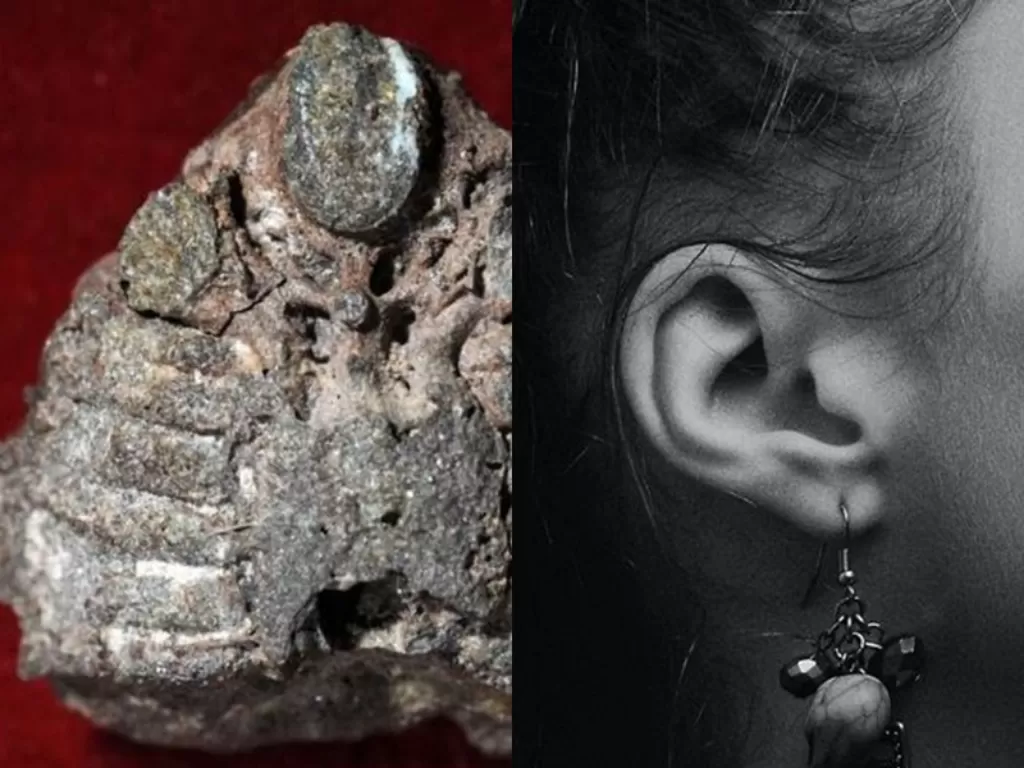 Kiri: Temuan fosil ikan purba. (Nationalgeographic) Kanan: Ilustrasi telinga manusia. (Unsplash)