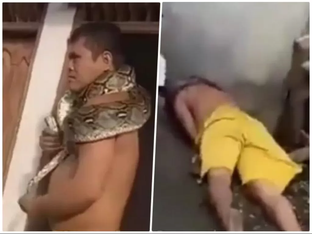 Pria hampir tewas saat kalungkan ular piton. (Instagram/@memomedsos)