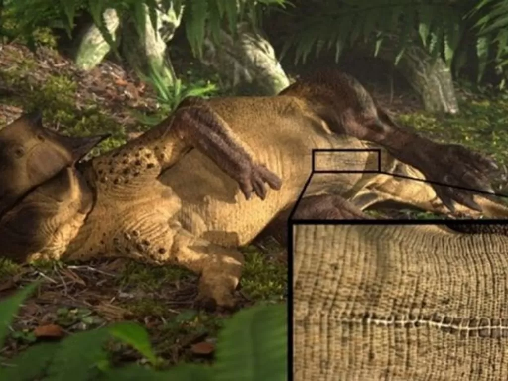 Ilustrasi penemuan tali pusar di tubuh dinosaurus. (LiveScience)