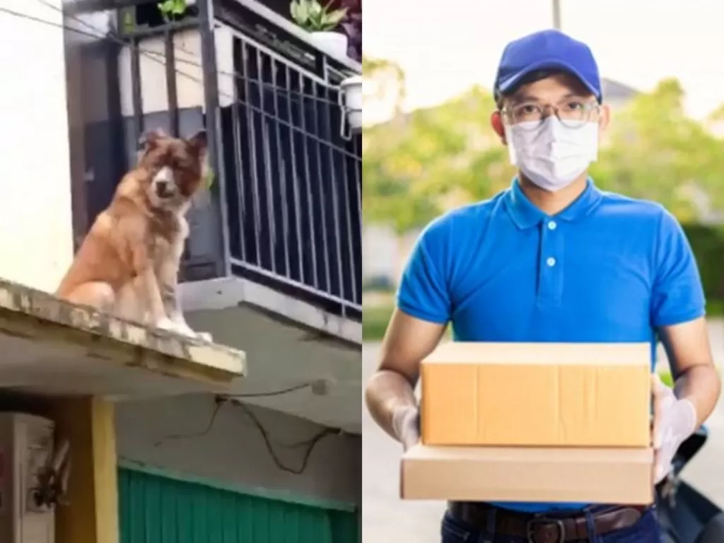 Kiri: Anjing penjaga rumah alamat paket. (Instagram/@undercover.id) Kanan: Ilustrasi kurir paket. (Freepik)