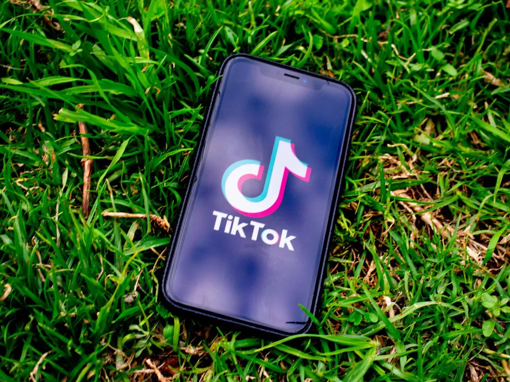 TikTok (Pixabay)