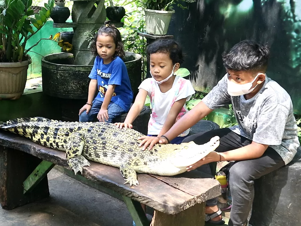 Foto dengan buaya di Kebun Binatang Jurug Solo Zoo. (Is Ariyanto/IDZ Creators)