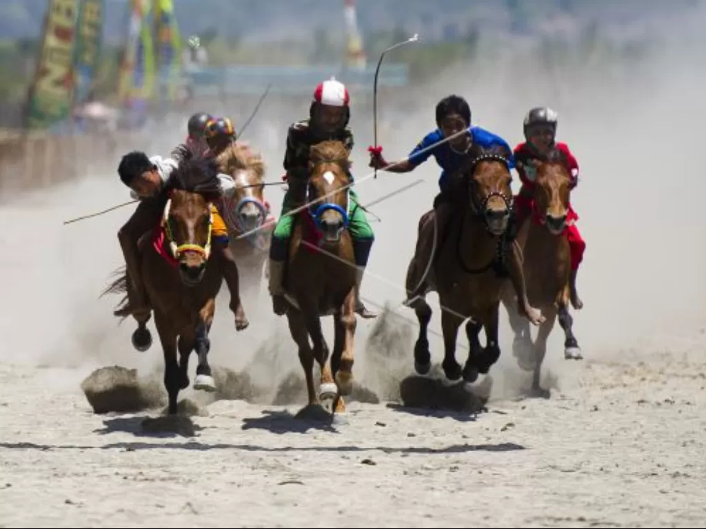 Sejumlah joki cilik memacu kuda mereka saat gelaran Pacuan Kuda Tradisional (Main Jaran) di arena pacu kuda di kawasan Penyaring, Moyo Utara, Sumbawa, NTB, Minggu (11/11). (ANTARA/Ismar Patrizki)