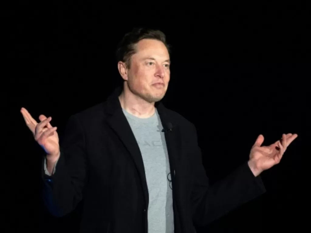 CEO Tesla Elon Musk. (AFP)