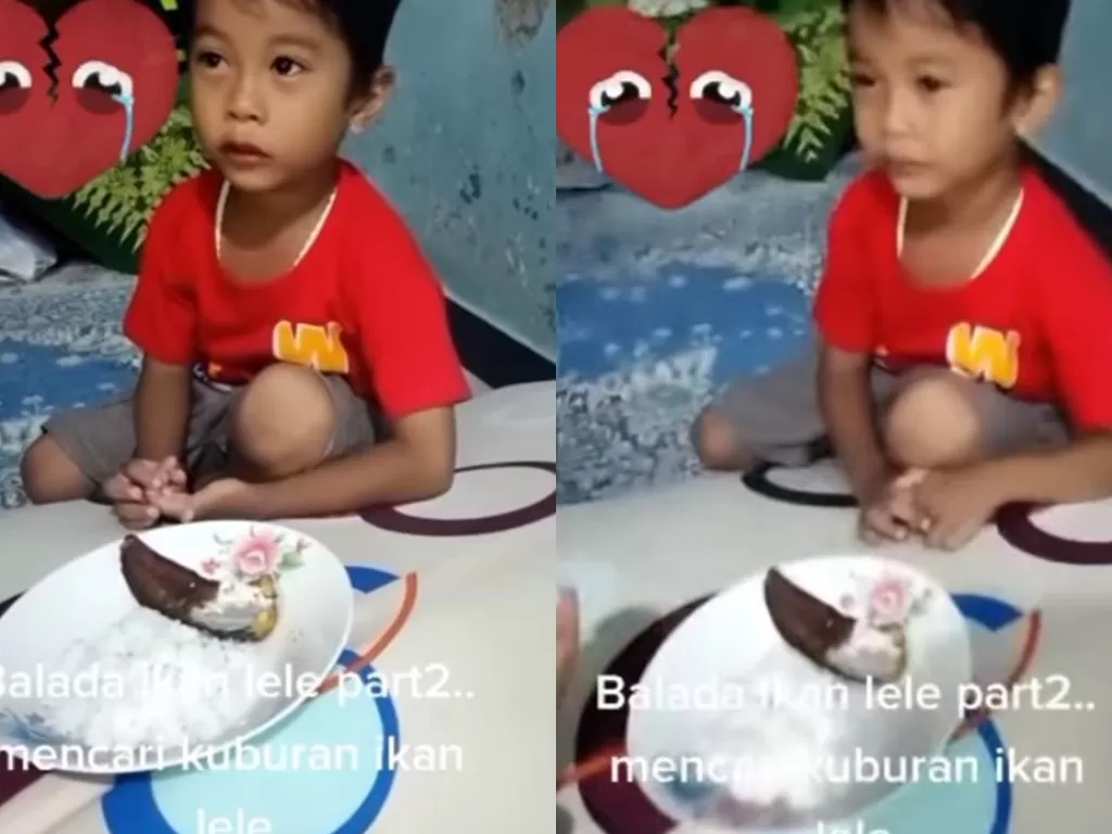 Bocah laki-laki menangis ikan lelenya dimasak. (Instagram/@statusfakta)