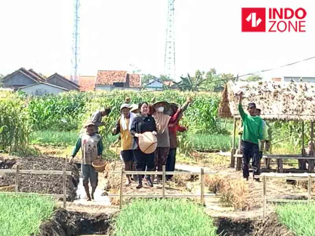 Ketua DPR Puan Maharani berdialog dengan petani Bawang di Brebes, Jawa Tengah (INDOZONE/Harits Tryan)
