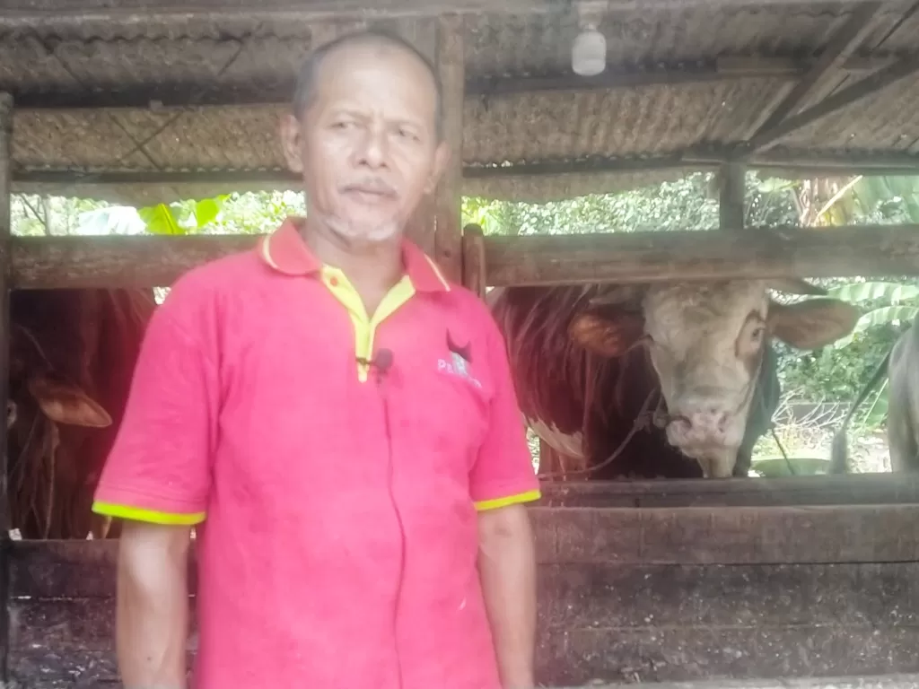 Afrizal Rasyid, pemilik sapi yang dibeli Jokowi. (Riki Ariyanto/Tim Z Creators)