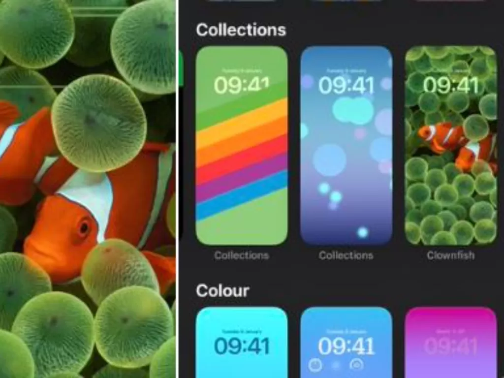 Wallpaper clownfish di iPhone (Twitter)