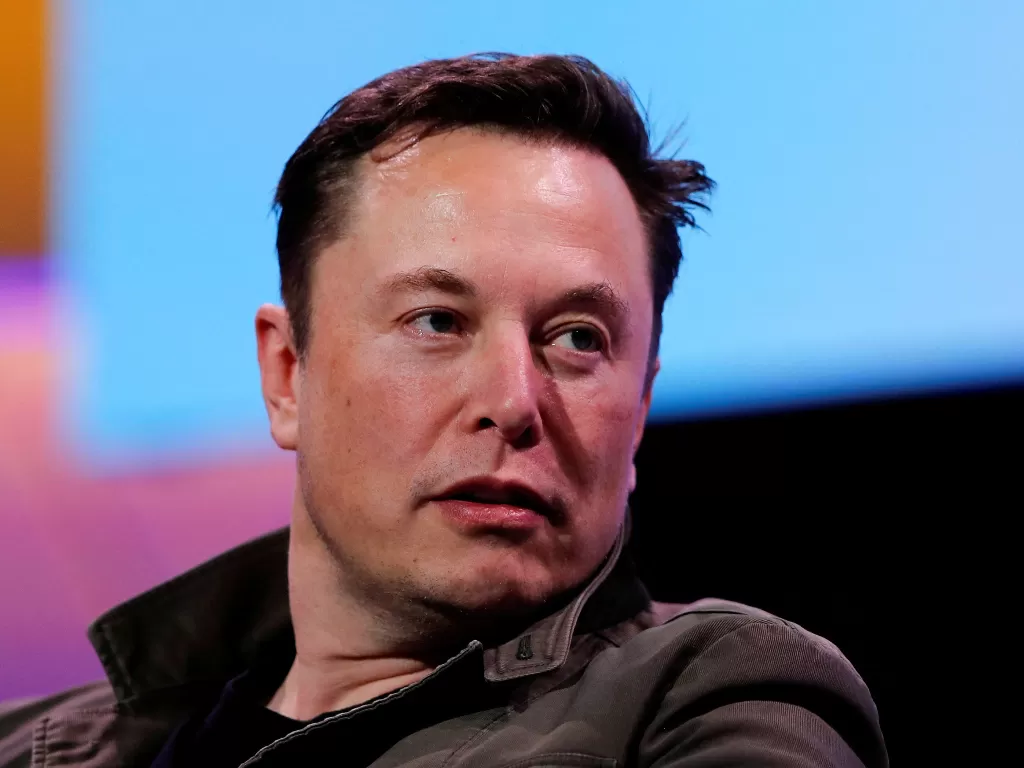 CEO Tesla Motor Elon Musk (REUTERS/Mike Blake)