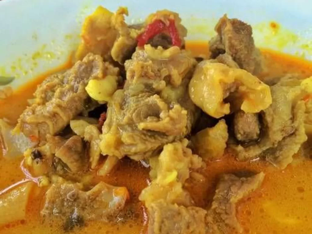 Ilustrasi gulai kambing, hidangan Idul Adha (id.pinterest.com)