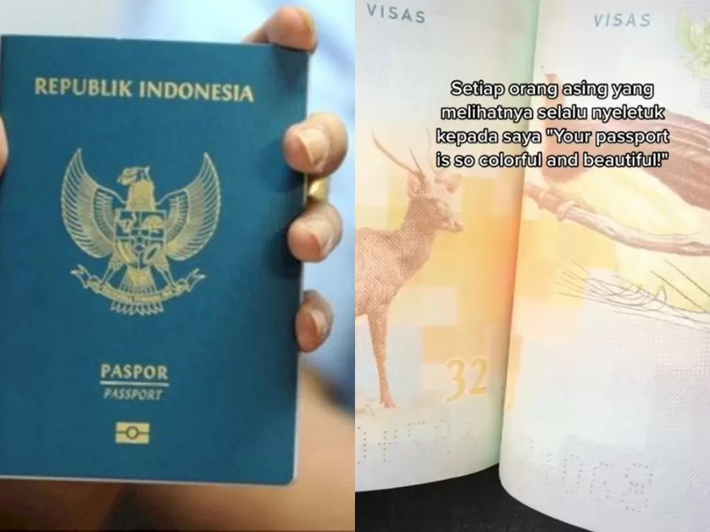 Paspor Indonesia. (ANTARA FOTO/Fikri Yusuf/TikTok/@hassanhans)
