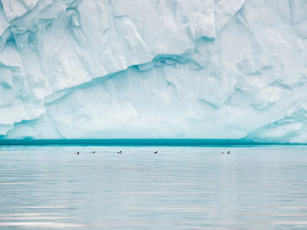 Ilustrasi Iceberg, bongkahan es yang ditabrak Titanic (freepik.com)