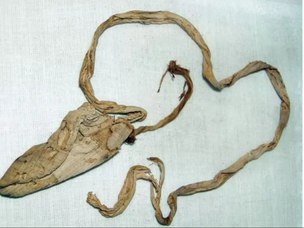 Kondom Firaun. (Egypt Museum)