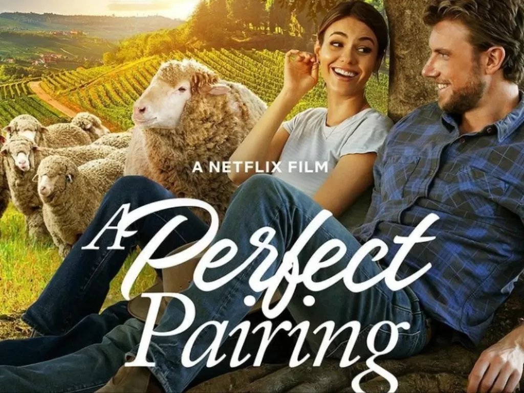 Film A Perfect Pairing (IMDb)