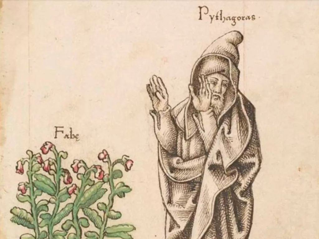 Ilustrasi Phytagoras menganggap tanaman sebagai gerbang reinkarnasi. (Ancient Origins)