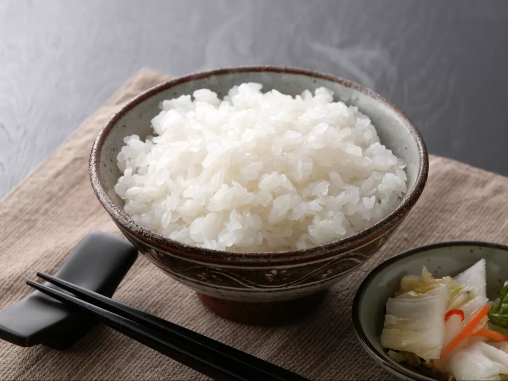Ilustrasi nasi shirataki (e-konnyaku.com)