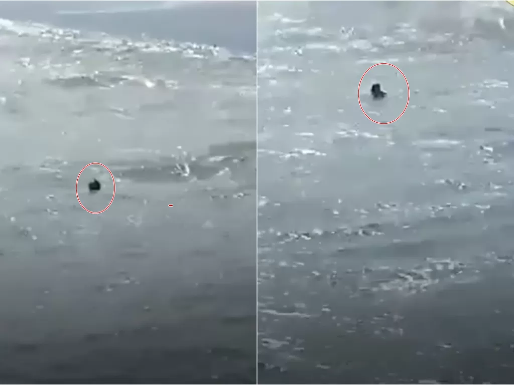 Seorang pria tenggelam saat memancing. (Instagram/@jogjatv.tv)