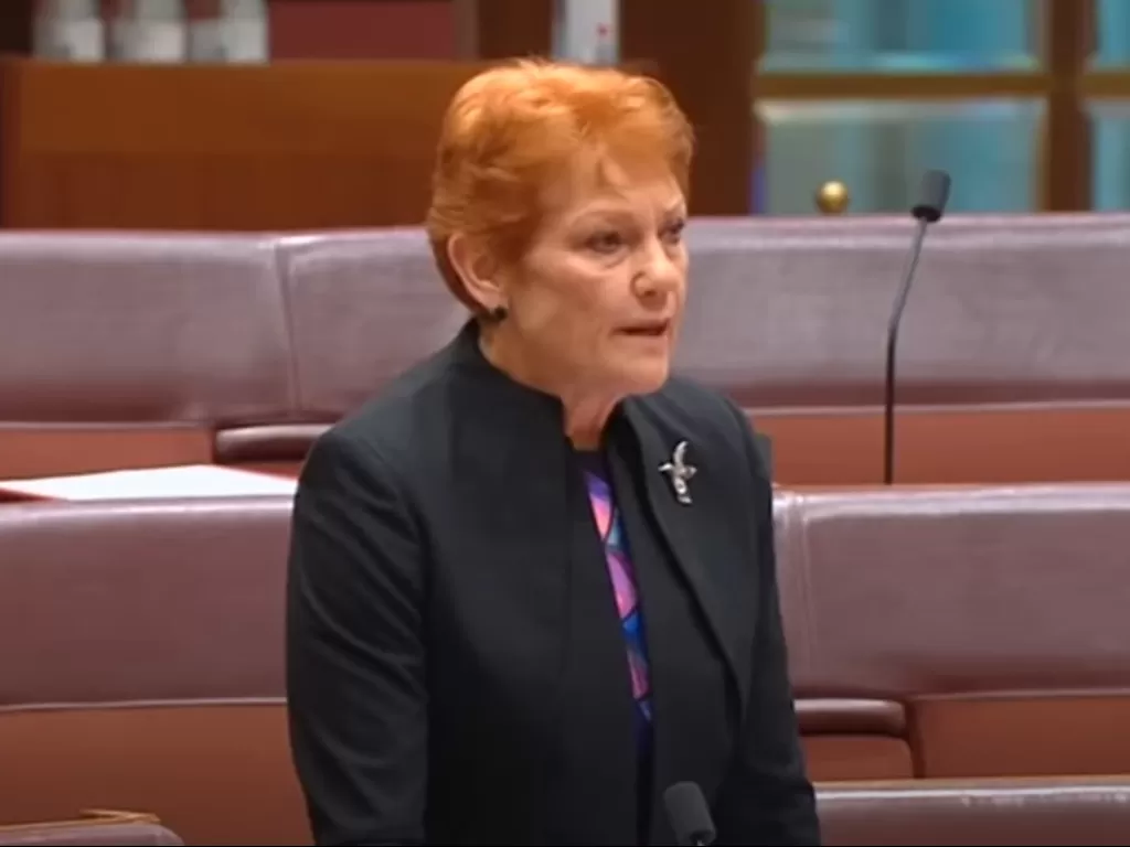 Pauline Hanson politisi kontroversi sayap kanan Australia hina Bali yang penuh kotoran sapi. (Foto/Youtube/ Pauline Hanson's Please Explain) 