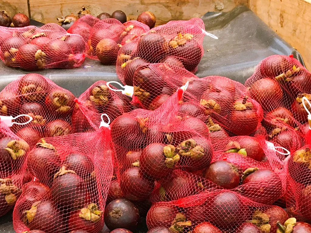 Buah manggis dijual di Amerika. (Susi Fatimah/Z Creators)